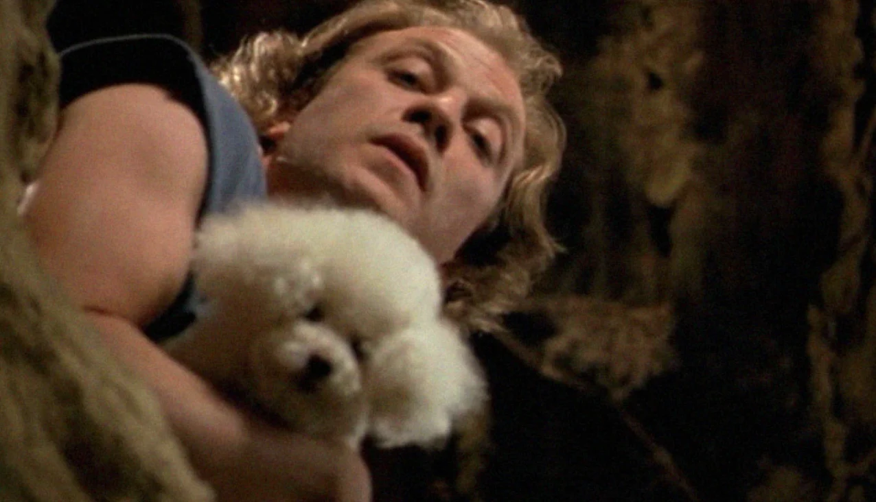 il silenzio degli innocenti